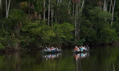 Discover the Madre de Dios River of Peru By Boat