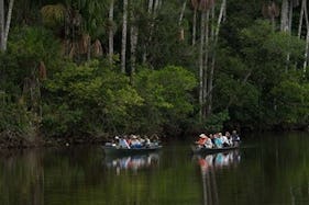 Discover the Madre de Dios River of Peru By Boat