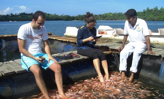 Fish Massage