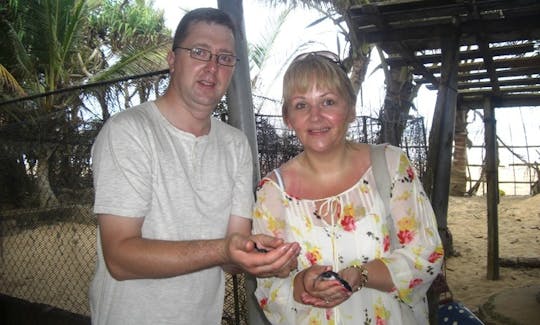 Turtles Hatchery