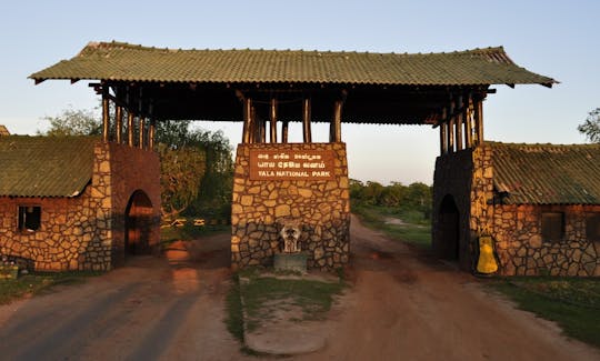 Yala Safari from Bentota