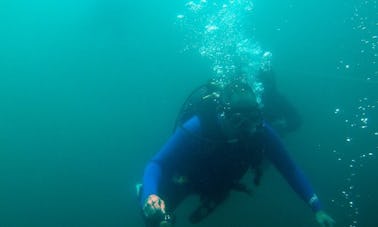 Book the Open Water Diving in Rayton, South Africa