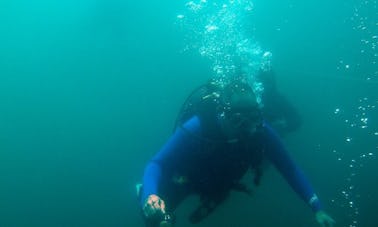 Reserva el buceo en aguas abiertas en Rayton, Sudáfrica