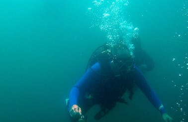 Book the Open Water Diving in Rayton, South Africa