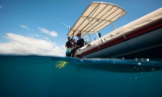 Boat Diving Trips and Humpback Whale Watching Trip in Taravao, French Polynesia