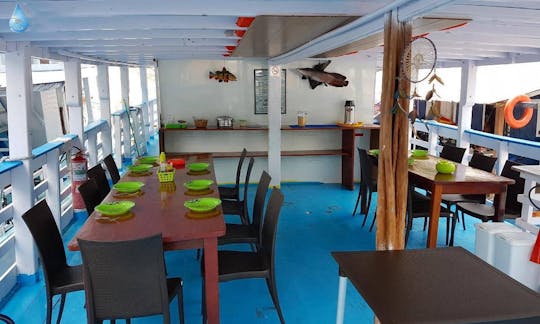 20 Person Houseboat Charter in Manaus, Brazil