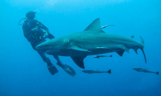 Peter with Bull shark