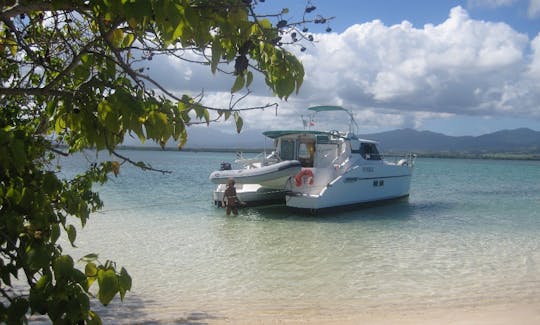 Amazing Boating Trip in Pointe a Pitre, Guadeloupe on