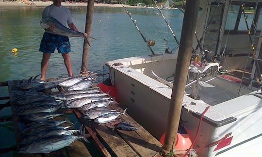 Tuna, Dorado, Wahoo, Bonitos