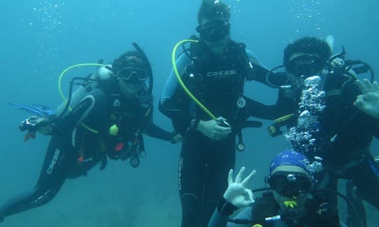 Private PADI Scuba Lessons in Santa Marta, Colombia