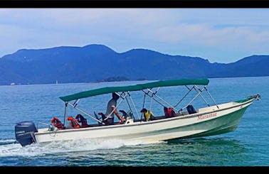 Taxi Boat Tour for 12 People to Ilha de Cataguás and ilha da Gipoia
