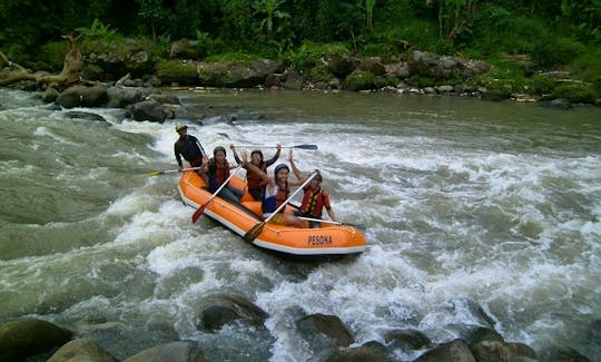 Are You Ready To Get Wet? Book a Rafting Trip With Us!