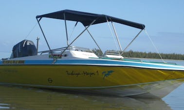 Excursion privée avec les dauphins à bord d'un bowrider pour 6 personnes à Black River, Maurice