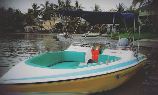 Tour privado con delfines en un Bowrider para 6 personas en Black River, Mauricio