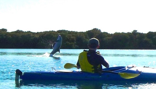 Top 10 Garden Island South Australia Boat Rentals With Reviews