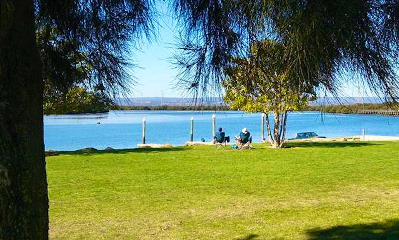Adelaide Dolphin Sanctuary And Ships Graveyard Kayak Hire Getmyboat