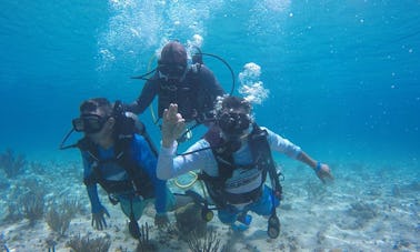 Descubra el buceo que se ofrece en las islas de San Andrés, Colombia