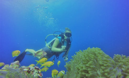 An Amazing Scuba Diving Experience for Up to 20 People in Maafushi, Maldives