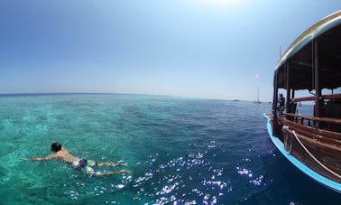 An Amazing Scuba Diving Experience for Up to 20 People in Maafushi, Maldives