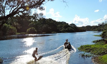 La visite écologique parfaite de la faune à Trinidad, en Bolivie