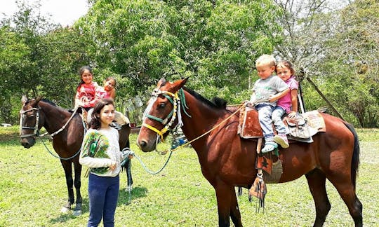 The Perfect Wildlife Eco Tour in Trinidad, Bolivia