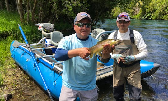 Guided Fly Fishing Trip with Don Pedro in Rio Bueno Rivers, Chile