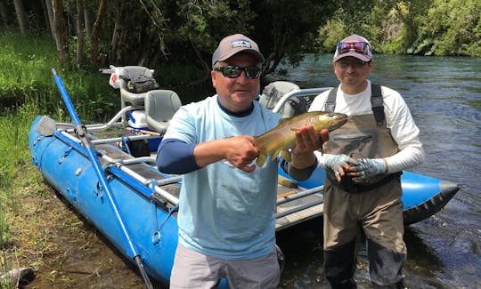 Guided Fly Fishing Trip with Don Pedro in Rio Bueno Rivers, Chile