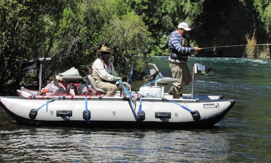 Guided Fly Fishing Trip with Don Pedro in Rio Bueno Rivers, Chile