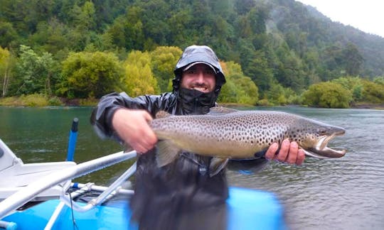 Guided Fly Fishing Trip with Don Pedro in Rio Bueno Rivers, Chile