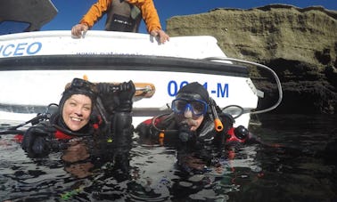 Experiência incrível de mergulho com leões marinhos em Puerto Piramides, Argentina