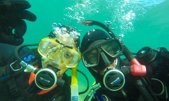 An Amazing Scuba Diving Experience in Rosario, Argentina