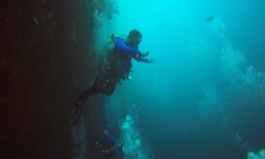 An Amazing Scuba Diving Experience in Rosario, Argentina