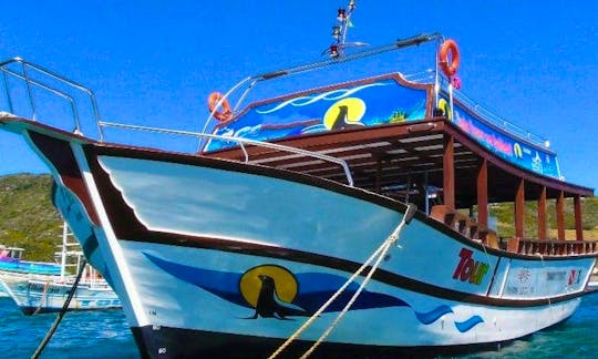 Exclusive Tour aboard the 2-Storey Boat in the Real BrazilIan Caribbean with Capitan Renato