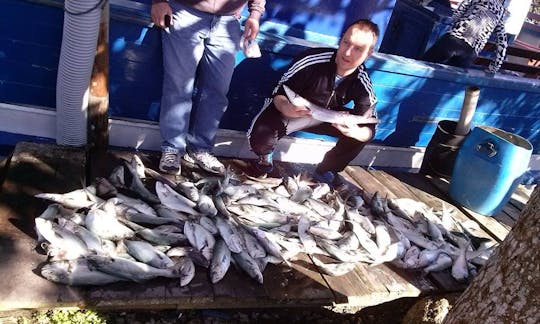 Fishing Boats Rental in Balneário Barra do Sul, Brazil for 13 People