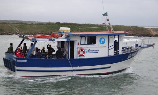 Fishing Boats Rental in Balneário Barra do Sul, Brazil for 13 People