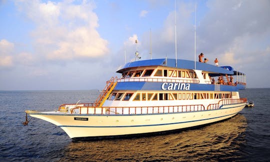 MV Carina Liveaboard