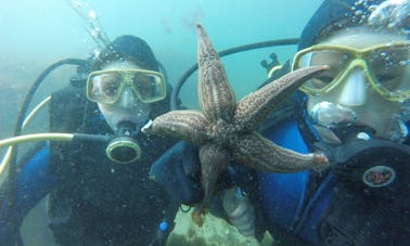 Leçon de plongée sous-marine avec un instructeur expérimenté à Puerto Madryn, Argentine