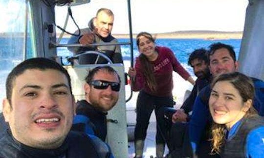 Scuba Diving Lesson with Experienced Instructor in Puerto Madryn, Argentina