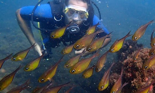 Learn or Improve Your Scuba Diving Skill With Our Professional Instructors!