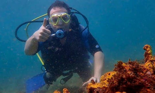 Learn or Improve Your Scuba Diving Skill With Our Professional Instructors!