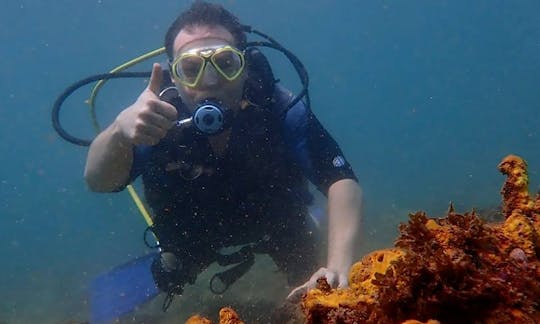 Learn or Improve Your Scuba Diving Skill With Our Professional Instructors!