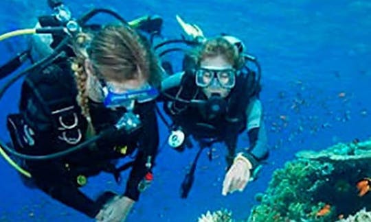 Learn or Improve Your Scuba Diving Skill With Our Professional Instructors!