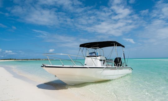 22' Center Console Boston Whaler Dauntless