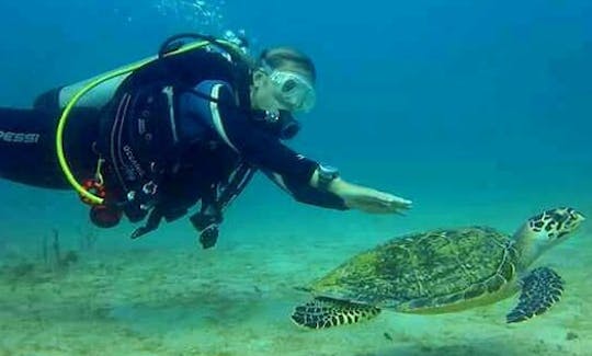 A Great Diving Experience in Cartagena, Colombia