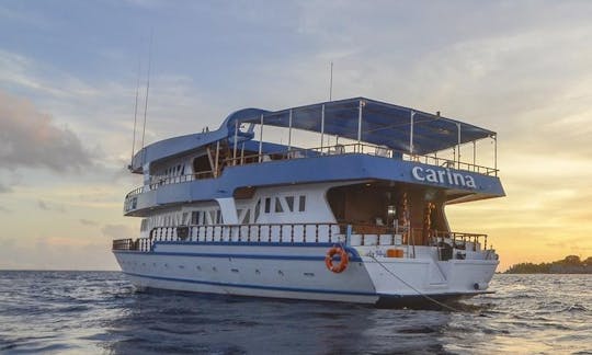 Réservez des vacances de plongée sous-marine à Malé, aux Maldives