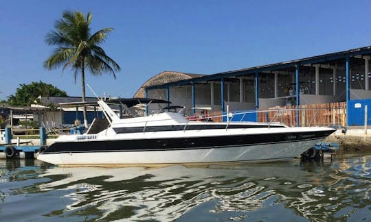 Affordable Speed Boat for 20 People, Ready to Rent in São Paulo, Brazil