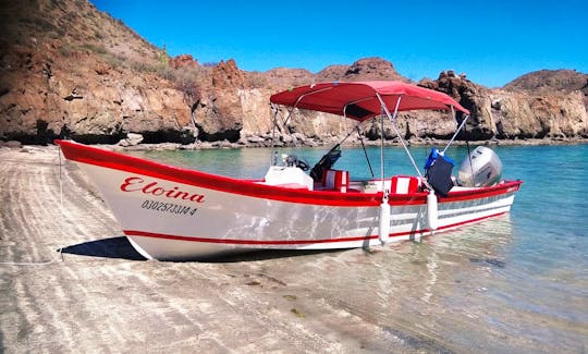 Exciting Fishing Trip on Mexican Super Panga Boat in Loreto, Baja California Sur