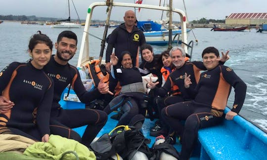 Amazing Diving Trip Offered in Quintero, Chile
