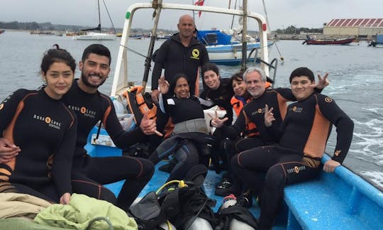 Amazing Diving Trip Offered in Quintero, Chile