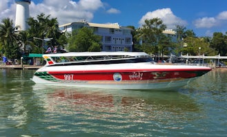 One Day Phi Phi Island Tour by Speed Boat from Krabi, Thailand